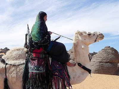 taking a ride with the white camel perhaps one day small wednesday 