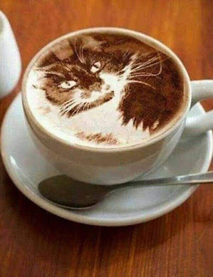 kopikat, coffee arts, coffee cat