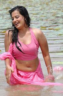 south-actress-hot-saree-wet-stills-images-gallery-navel-show