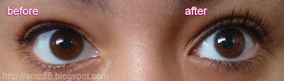 http://amz88.blogspot.com/2012/08/mascara-problem-solved.html