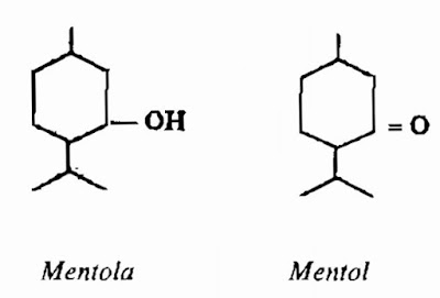 Thành phần hóa học Bạc Hà nam - Mentha arvensis - Nguyên liệu làm thuốc Chữa Cảm Sốt