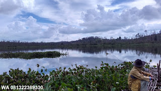 Umpan Serbuk Ikan Nila Di Rawa