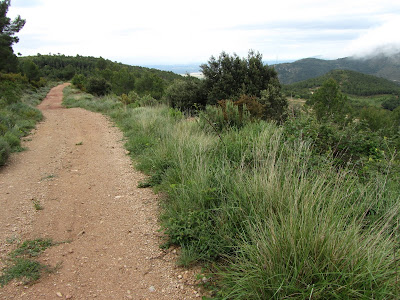 RUTA DELS CASTELLS DEL GAIÀ CASTELLS DE SELMELLA I SABURELLA, Camí de la Masia de Cal Figueres - Alt Camp