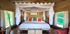 Ongava Tented Camp Etosha Namibia