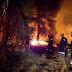 Μαίνεται η φωτιά στο Σχίνο Κορινθίας: Εκκενώθηκαν οικισμοί 