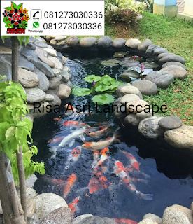 gambar kolam ikan koi, kolam hias, kolam minimalis, kolam batu batuan