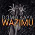 AUDIO l Domo kaya- Wazimu l Official music audio listen/download mp3