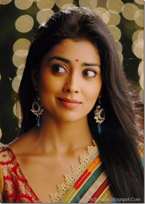 Shriya Saran Cute Saree Photos 9