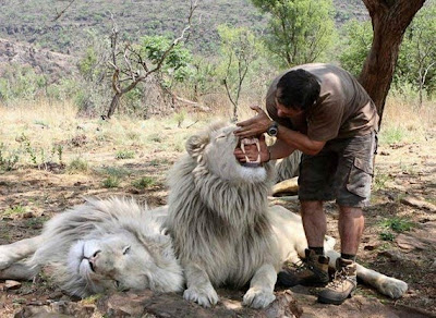 The Man Who Speaks With Lions Seen On www.coolpicturegallery.us