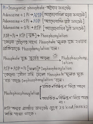 SSC Assignment 2021 Biology 4th Week || SSC 2021 assignment 4th week Biology || Assignment SSC 2021