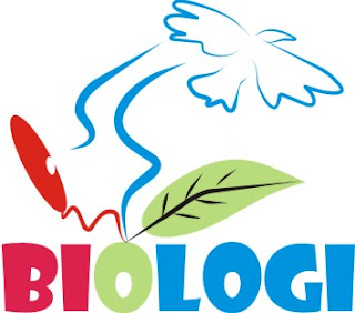 Contoh RPP dan Silabus Biologi SMP