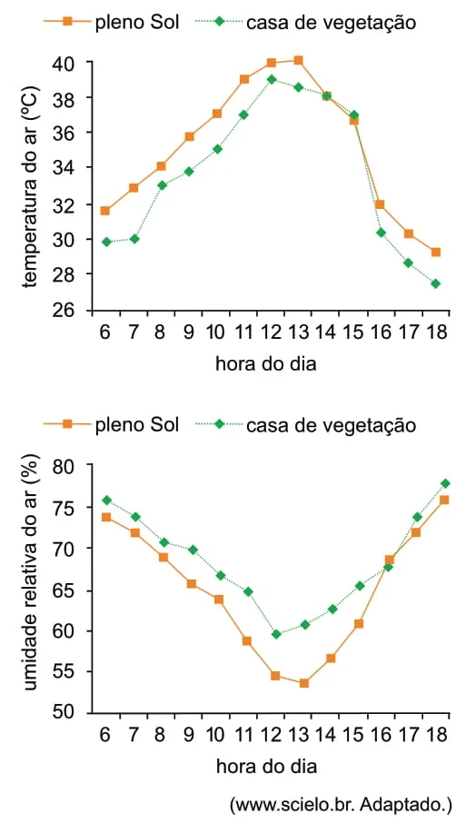 Analise os gráficos relativos ao cultivo de mudas da palmeira carnaúba hospedeira, Copernicia hospita