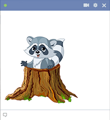 Raccoon icon for Facebook