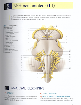 Télécharger Livre Gratuit Nerf Oculomoteur III pdf