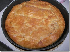 ΨΗΜΕΝΗ
