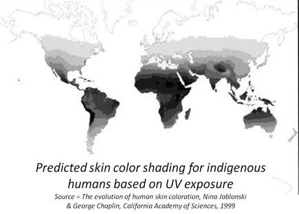 Predicted Shading graphic