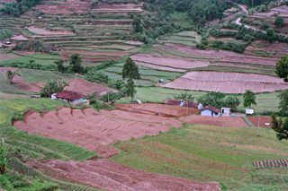 Marayoor, Idukki, Kerala