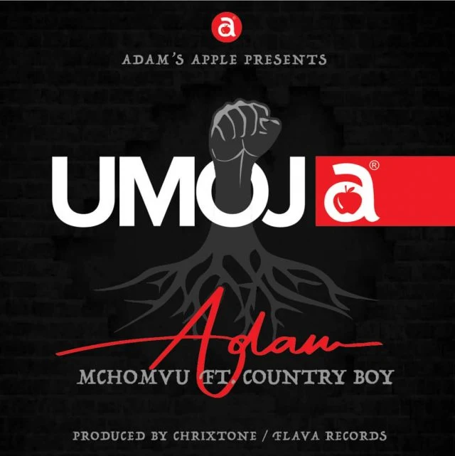 Adam mchomvu Ft Country Boy - Umoja (Audio) MP3 Download