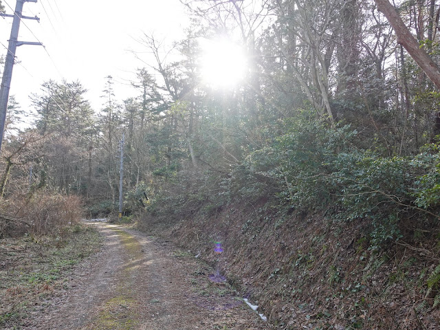 孝霊山　林道から電波塔の山の管理用道路が見えました