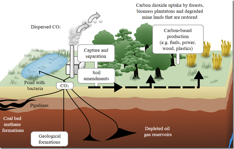 Carbon Sink & Carbon Sequestration