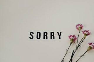 Who Should Say Sorry First?