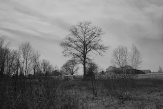 photo of Tower Hill Botanic Garden, Boylston, MA