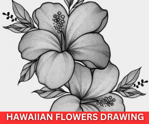 Hawaiian Flowers Drawing