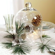 pine and pinecones under glass Christmas table