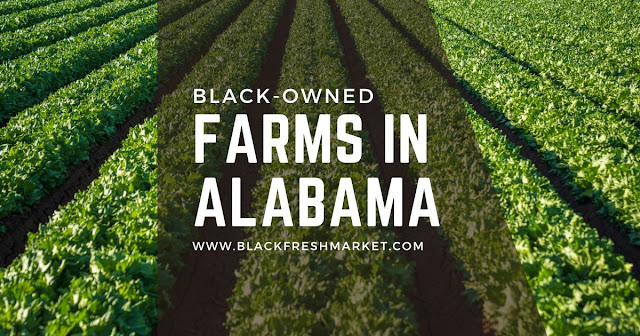 Black Owned Farms In Alabama