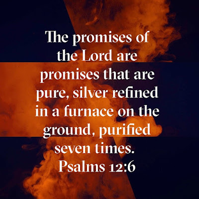 Awesome Bible Verses Of Promises Psalms 12:6