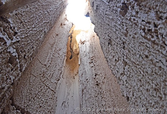 Vertical View