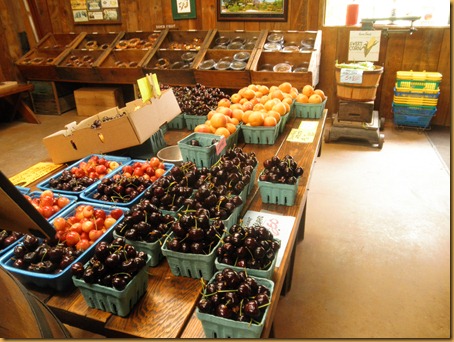 The Country Store at Andys Orchard