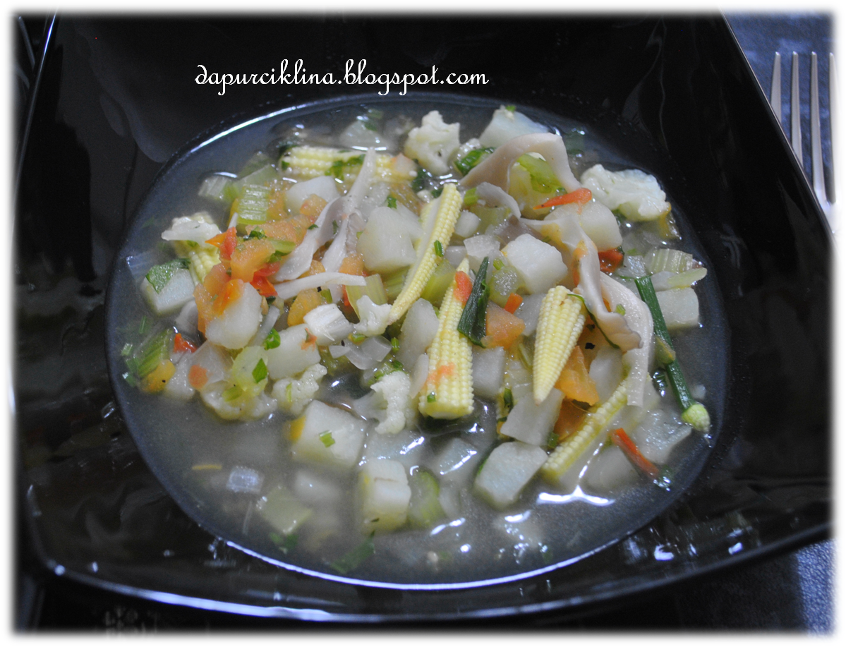 Resepi Sup Sayur Untuk Orang Diet - copd blog o