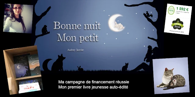 Mon podcast dans la Voix du Side Hustle : mon expérience d'auto-édition et de financement participatif avec Ulule