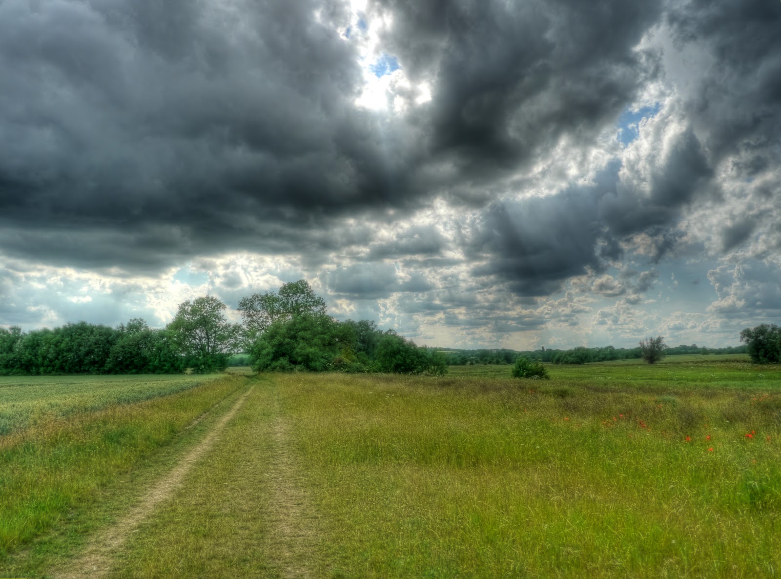 P1130757_1_2_3_4_5_6_tonemapped.jpg