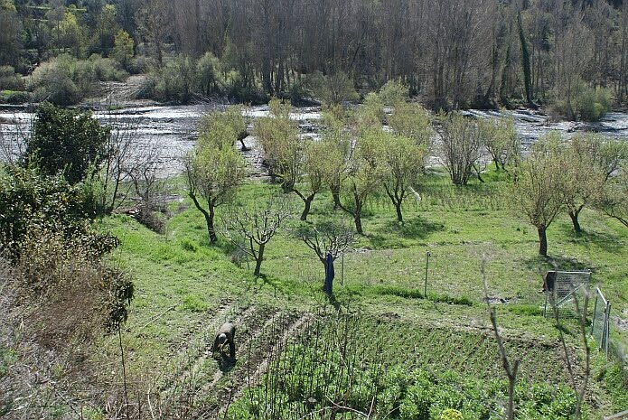 A farmer working the land along the Río Cádiar on a spring morning - photo: casa rural El Paraje