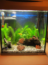 Mitt tredje akvarium