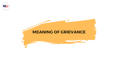 declaration of independence list of grievances meaning
