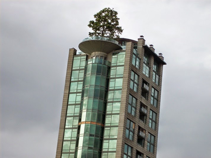 A lonely tree at the top of apartment rise building