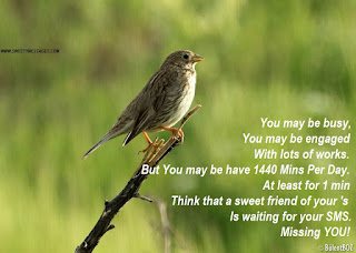 You may be busy, You may be engaged With lots of works. But You may be have 1440 Mins Per Day. At least for 1 min Think that a sweet friend of your 's Is waiting for your SMS. Missing YOU!