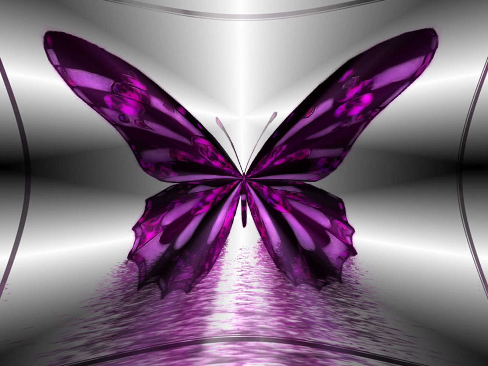 Wallpapers - HD Desktop Wallpapers Free Online: Butterfly Wallpapers