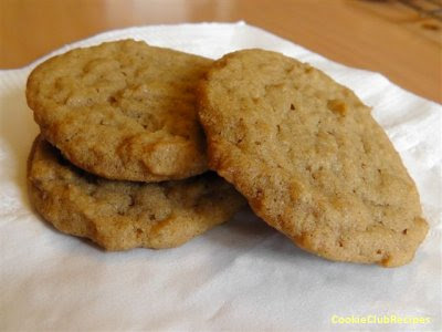 Cinnamon Crisp Cookies Recipe