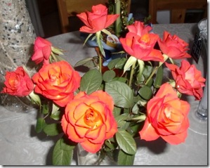 Oktober- November 2011 217