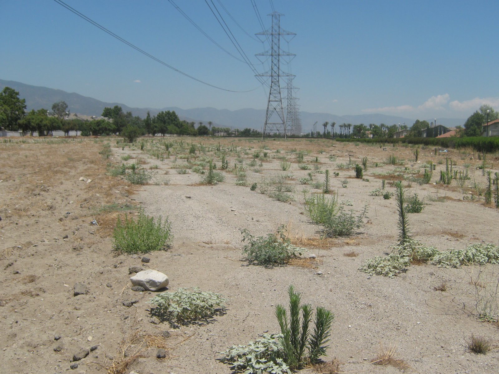 Lost Dragstrip: Fontana Drag City