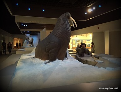 Polar Culture