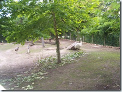 2011.07.26-061 nandou
