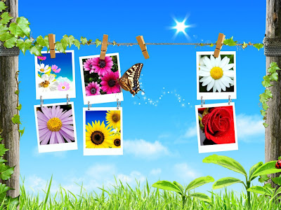  Wallpaper  Desktop on Spring Wallpaper Spring Flowers   Hd Desktop Wallpaper