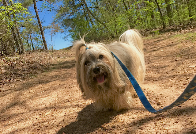 hiking trail at Oconee Heritage Park