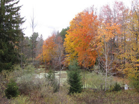 cemetery pond