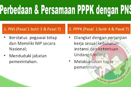 Persamaan dan Perbedaan PPPK dengan PNS